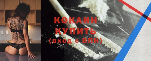 spice Алзамай