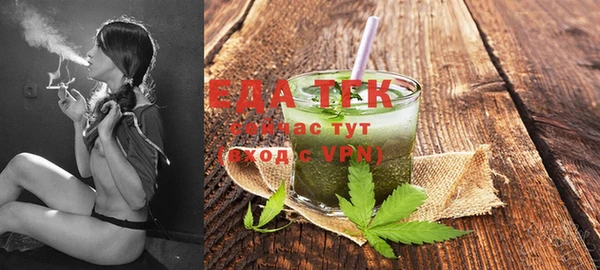 spice Алзамай