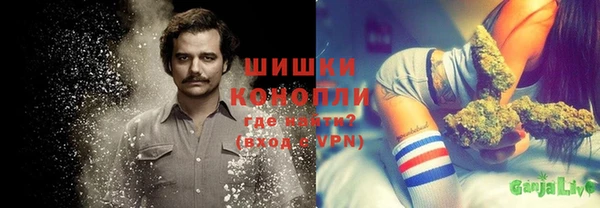 дживик Алексеевка