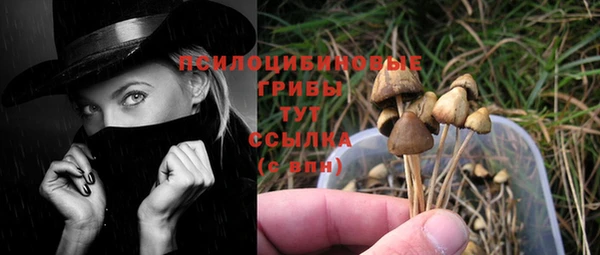 дживик Алексеевка